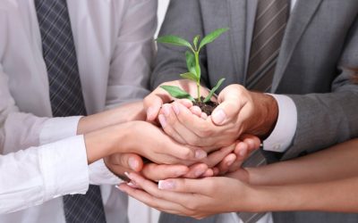 Biodiversiteit in bedrijf