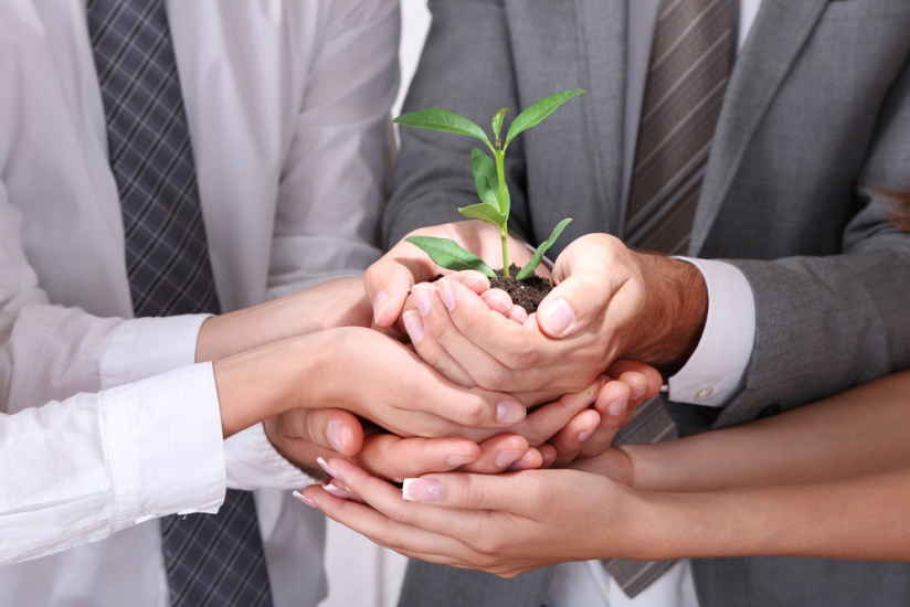 Biodiversiteit in bedrijf